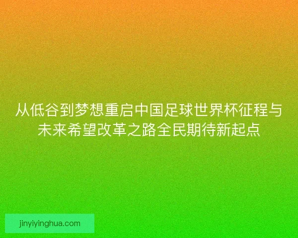 从低谷到梦想重启中国足球世界杯征程与未来希望改革之路全民期待新起点